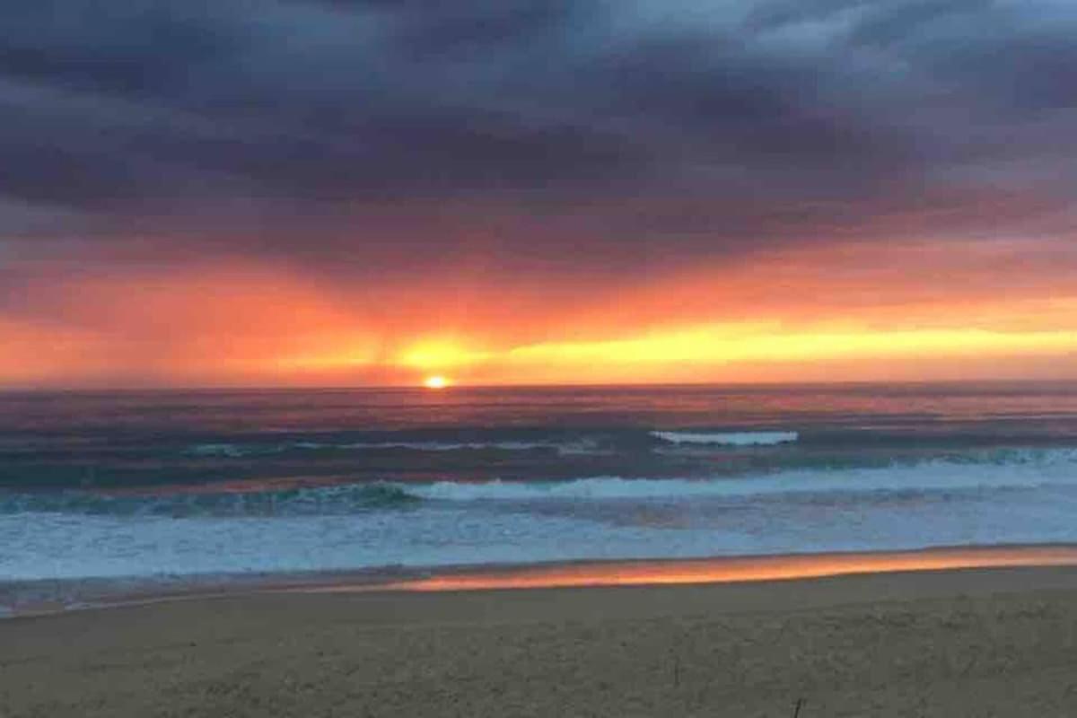 La Graviere, Cozy Studio Wifi & Parking 20M Ocean Surf Plage Soorts-Hossegor Exterior photo